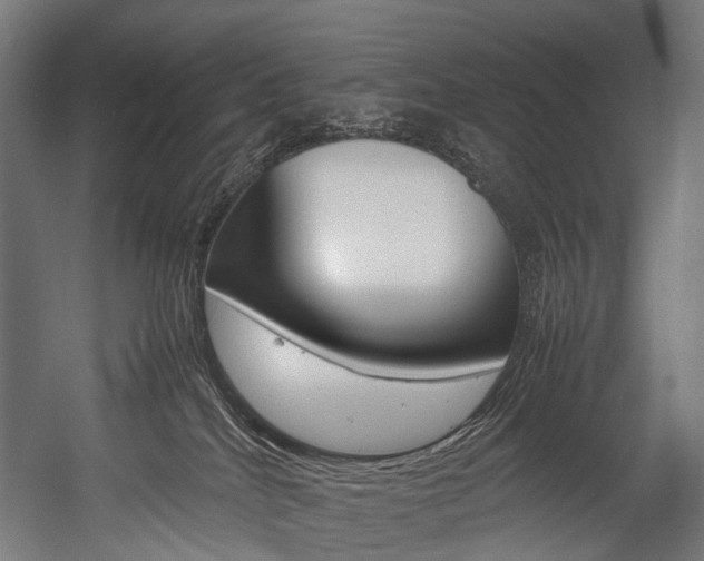 X0000054470040200507291059