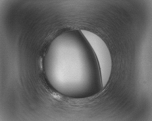 X0000054470041200507291059