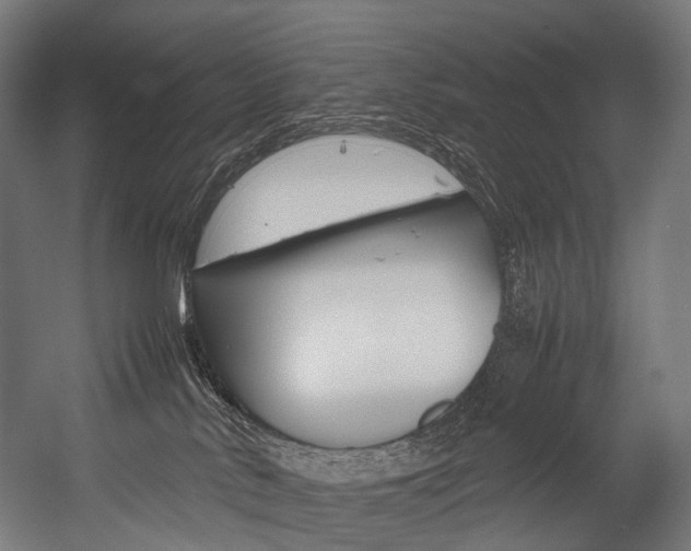 X0000054470042200507291059