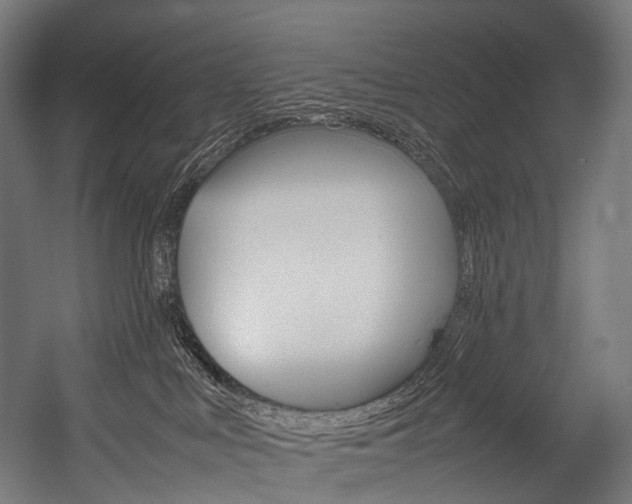 X0000054470043200507291059