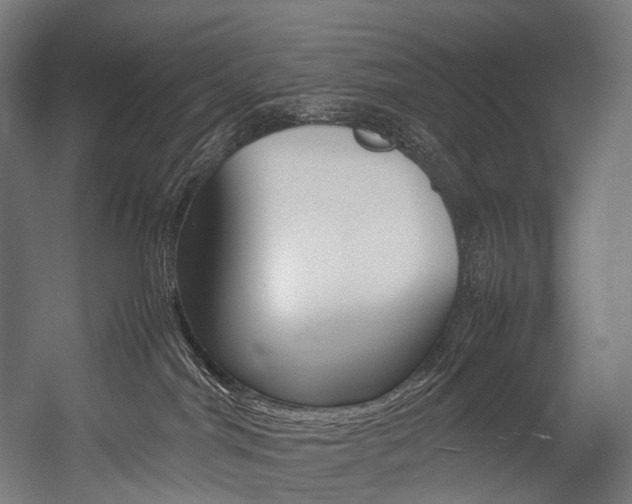 X0000054470044200507291059