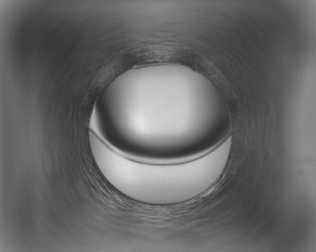 X0000054470045200507291059