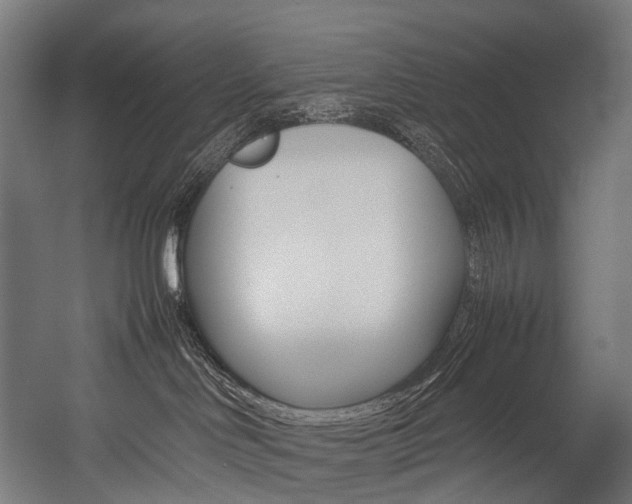 X0000054470046200507291059