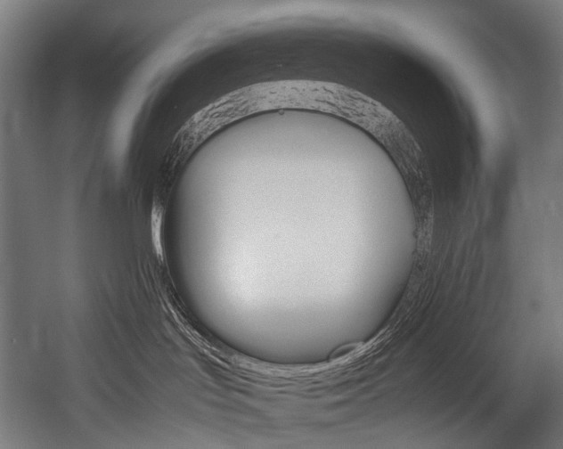 X0000054470047200507291059
