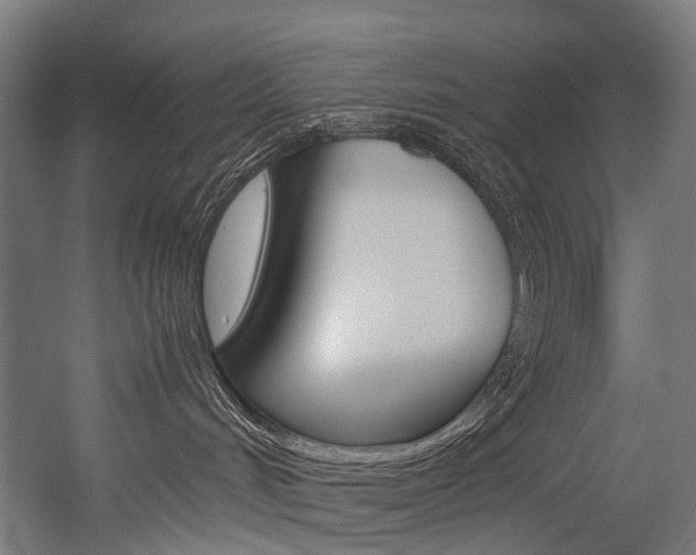 X0000054470048200507291059
