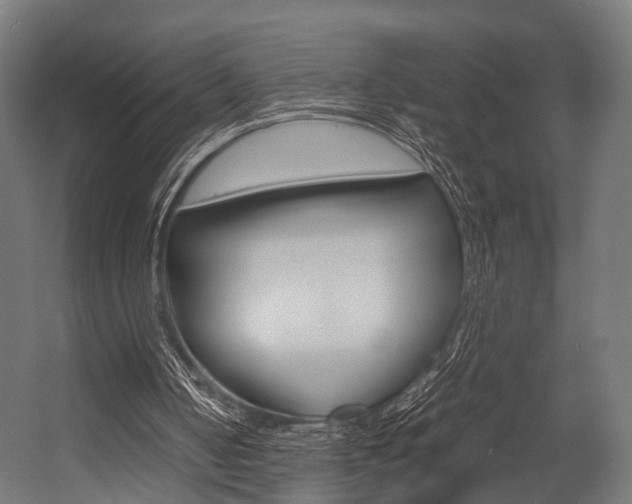 X0000054470050200507291058