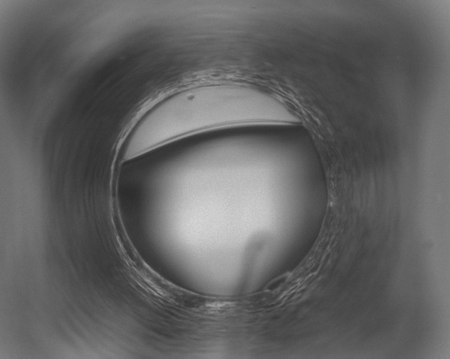 X0000054470052200507291058