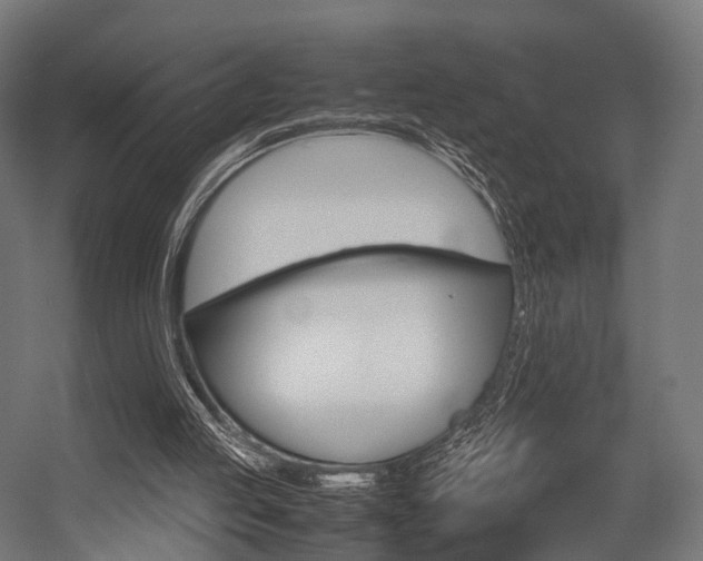 X0000054470053200507291058