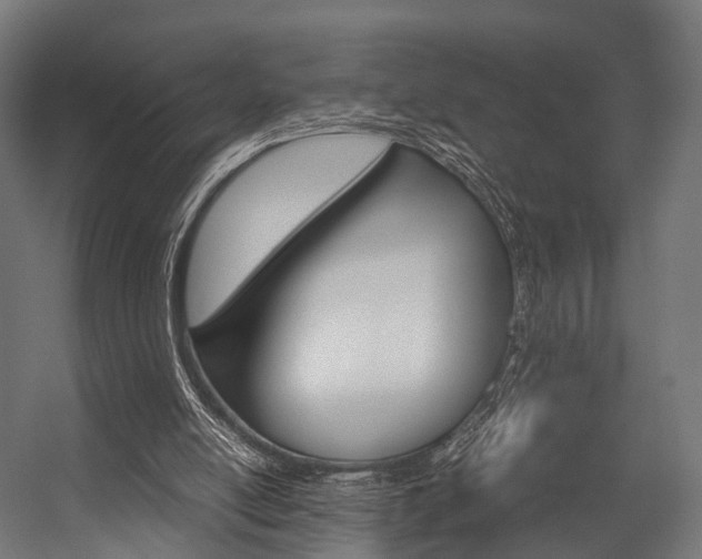 X0000054470054200507291058