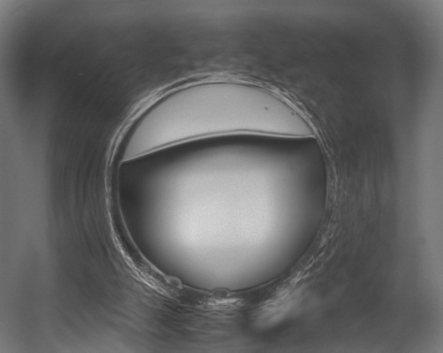 X0000054470055200507291058