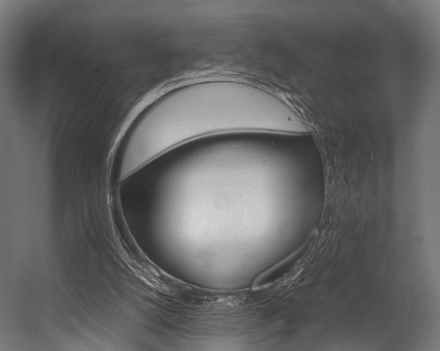 X0000054470056200507291058