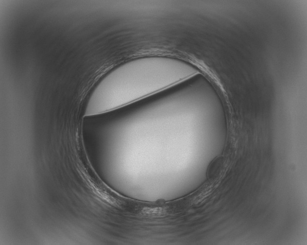 X0000054470057200507291058