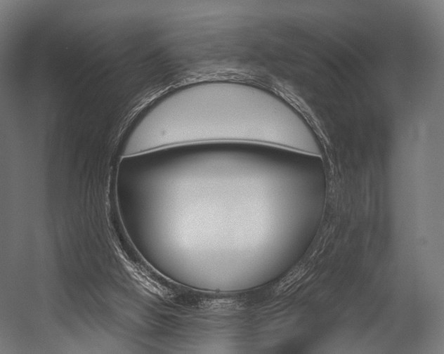 X0000054470058200507291058