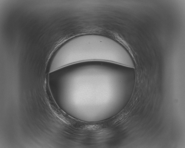 X0000054470059200507291058