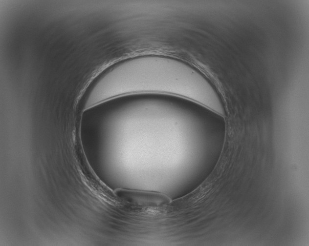 X0000054470060200507291058