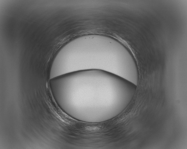 X0000054470061200507291058