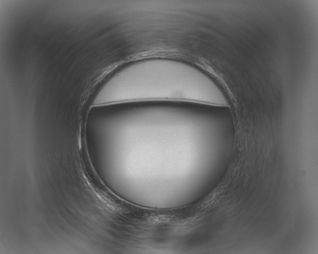 X0000054470062200507291058