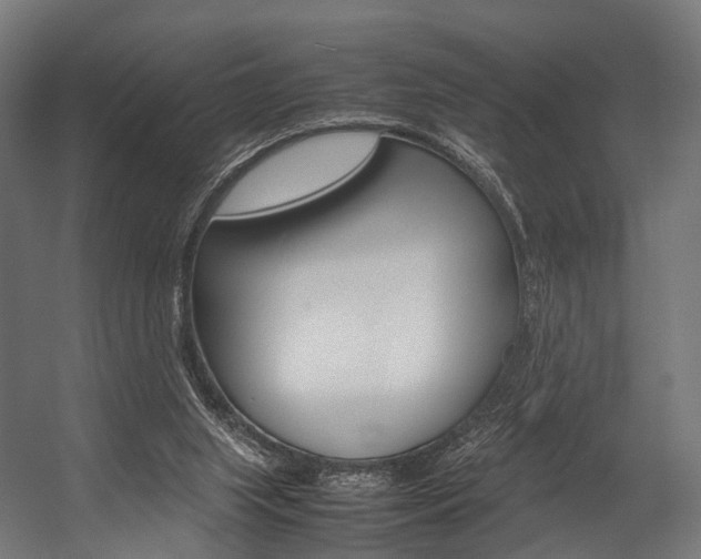 X0000054470063200507291058