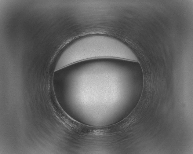 X0000054470064200507291058