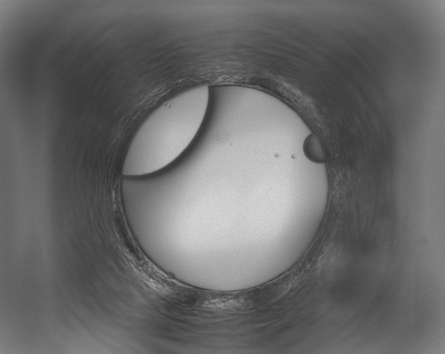 X0000054470065200507291058