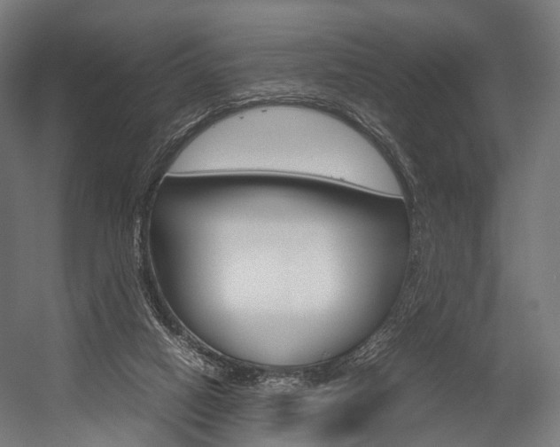 X0000054470066200507291058