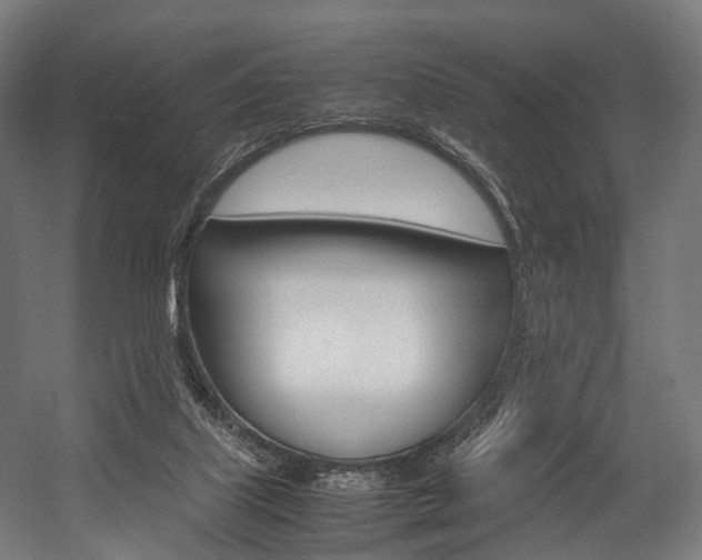 X0000054470067200507291058