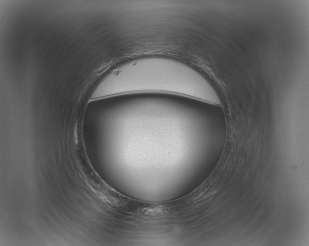 X0000054470068200507291058