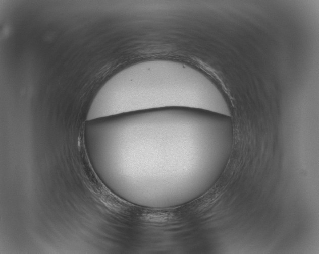 X0000054470069200507291058