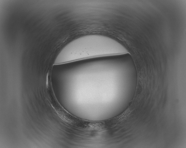 X0000054470070200507291058