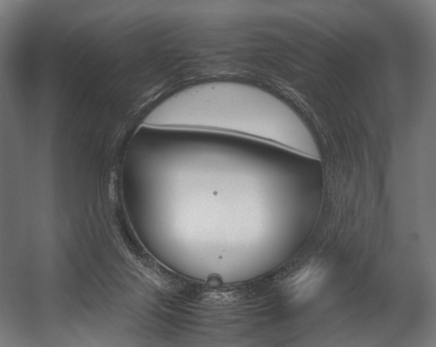 X0000054470071200507291058