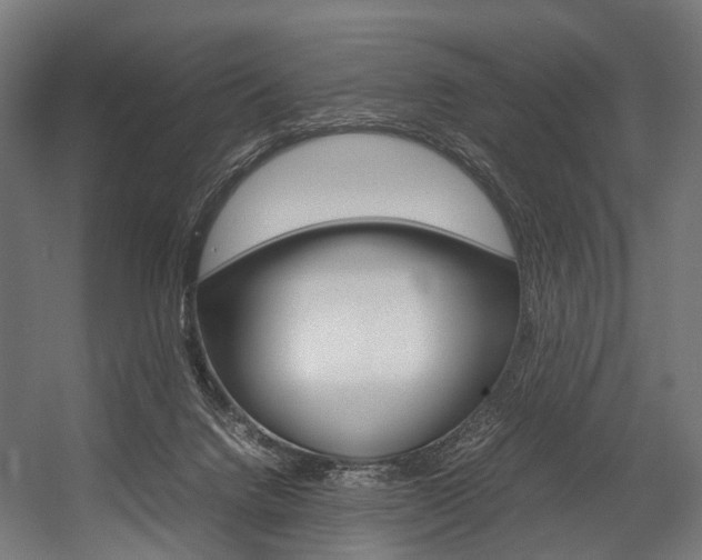 X0000054470072200507291058