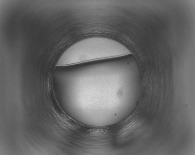 X0000054470074200507291058