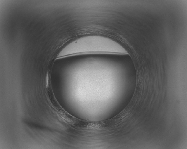 X0000054470076200507291058