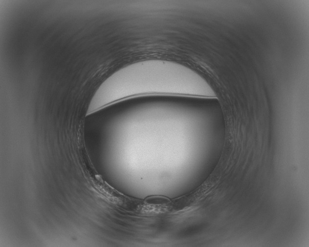 X0000054470077200507291058