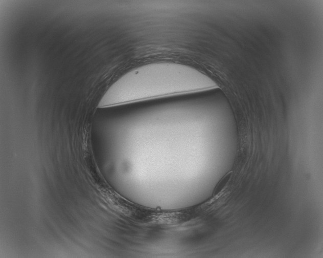 X0000054470078200507291058