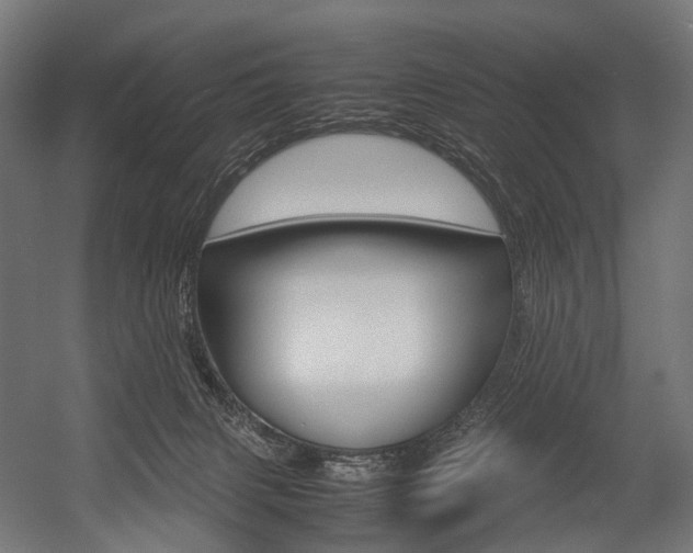 X0000054470079200507291058