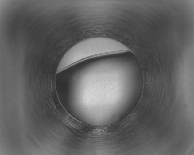 X0000054470080200507291058
