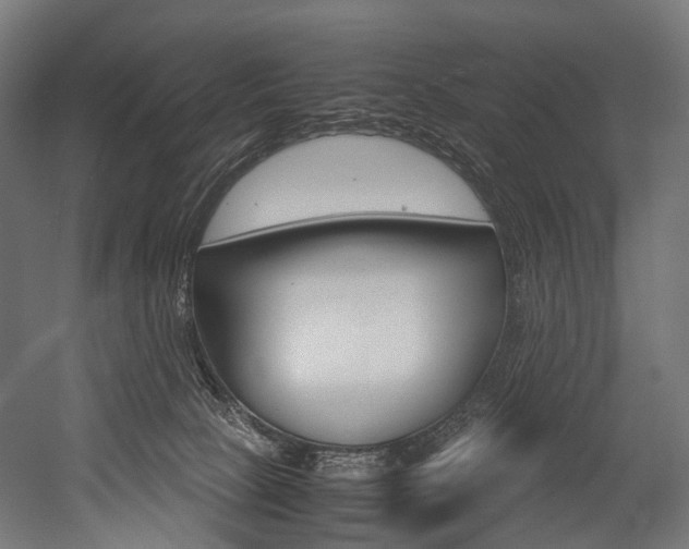 X0000054470081200507291058