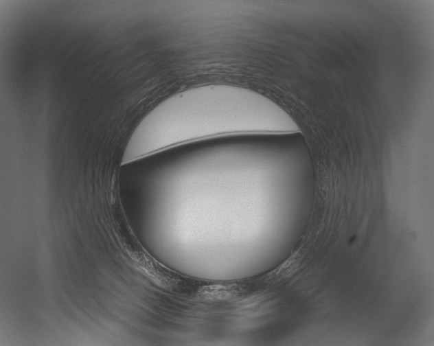 X0000054470082200507291058