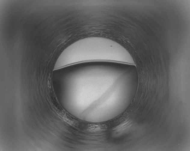 X0000054470083200507291058