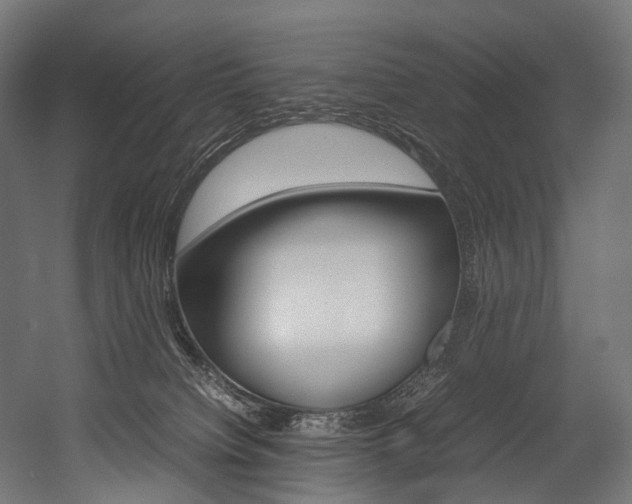 X0000054470084200507291058