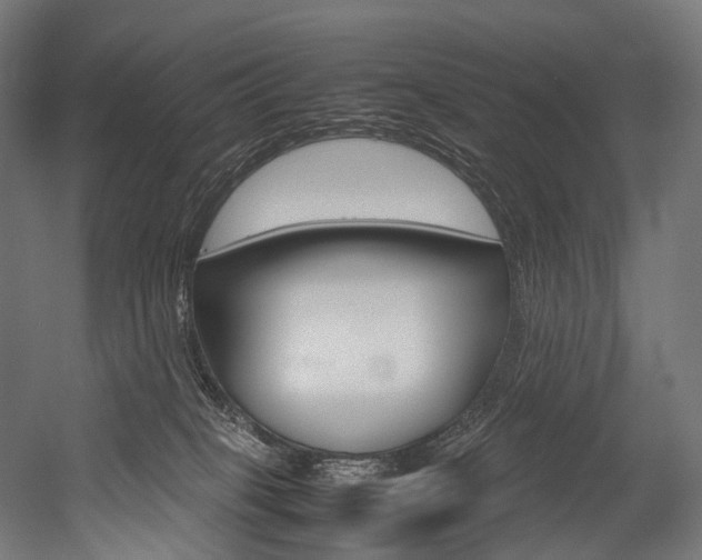 X0000054470085200507291058