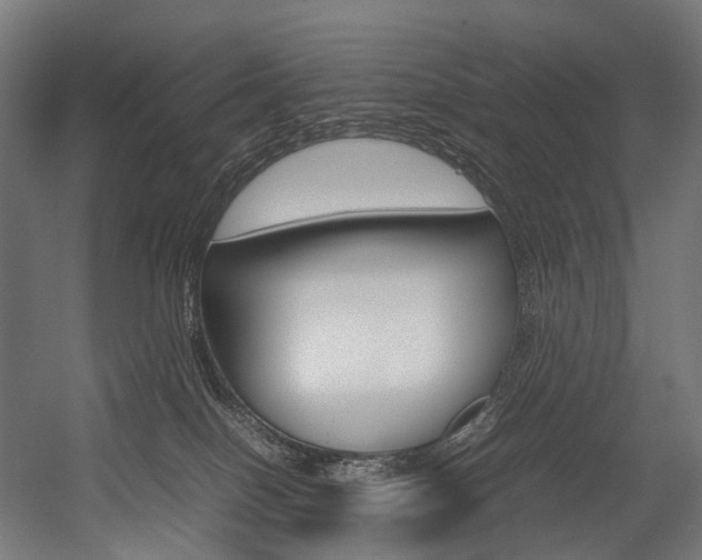 X0000054470086200507291059