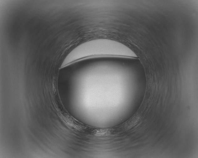 X0000054470088200507291059