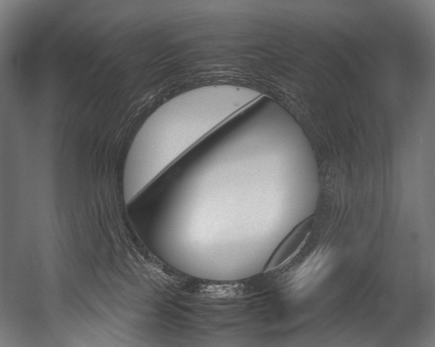 X0000054470089200507291059