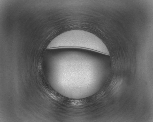 X0000054470091200507291059