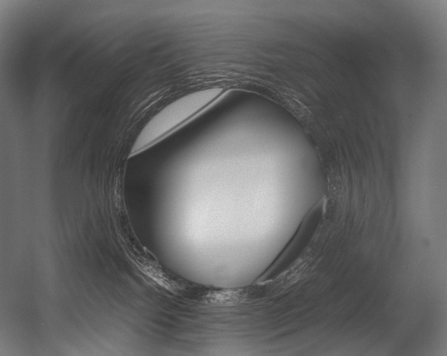 X0000054470092200507291059