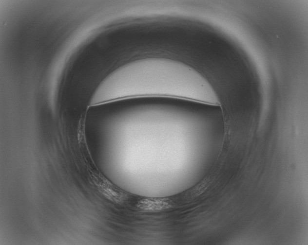 X0000054470093200507291059