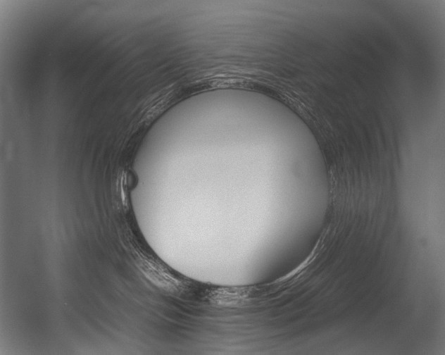 X0000054470094200507291059