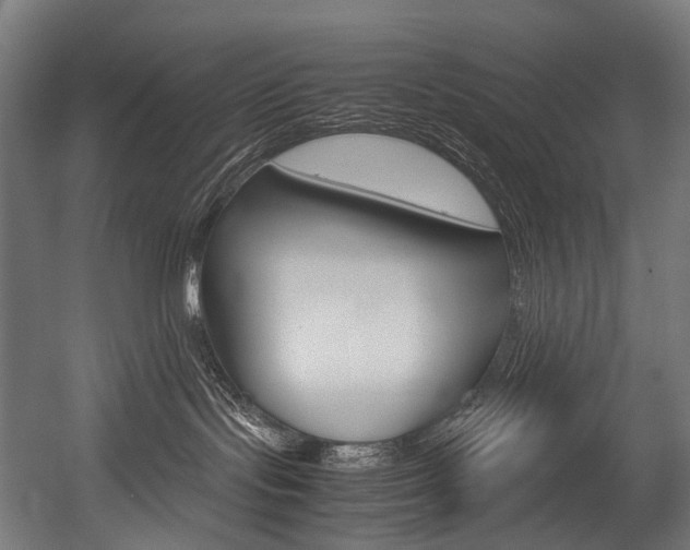 X0000054470095200507291059